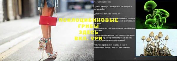 марихуана Абаза
