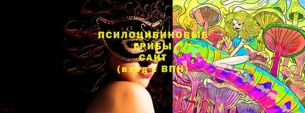 марихуана Абаза