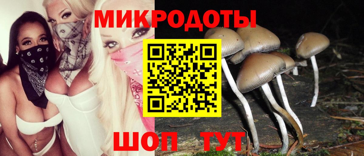 Галлюциногенные грибы мицелий Камышлов