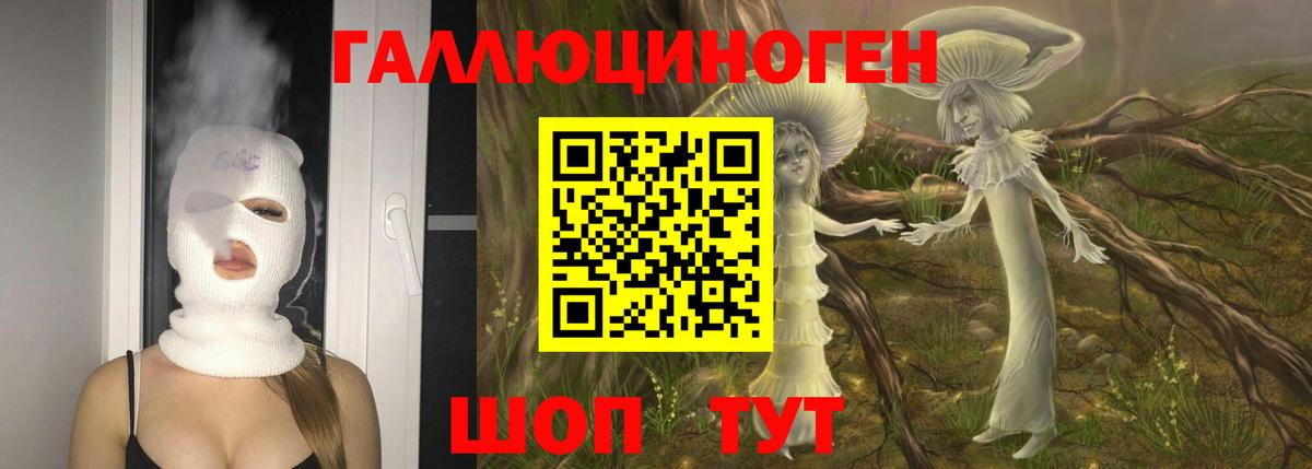 где найти наркотики  Галлюциногенные грибы Psilocybe  Вход с VPN  Камышлов 