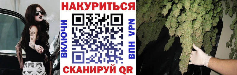 KRAKEN как зайти  Камышлов  Бошки марихуана VHQ 